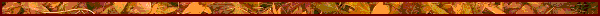 wb01432_.gif (3228 bytes)